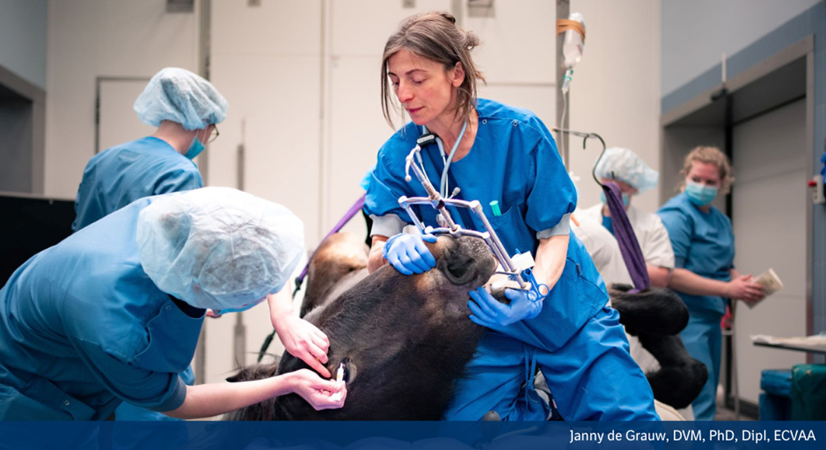 Janny-de-grauw-picture