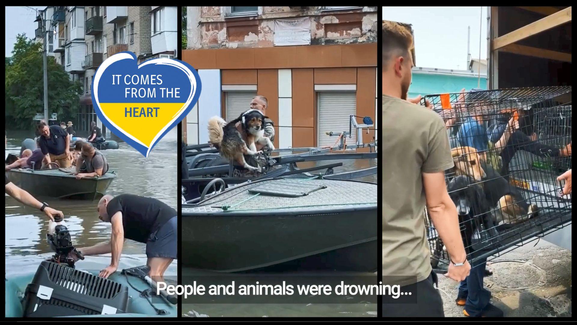 vansklige forhold i ukraine