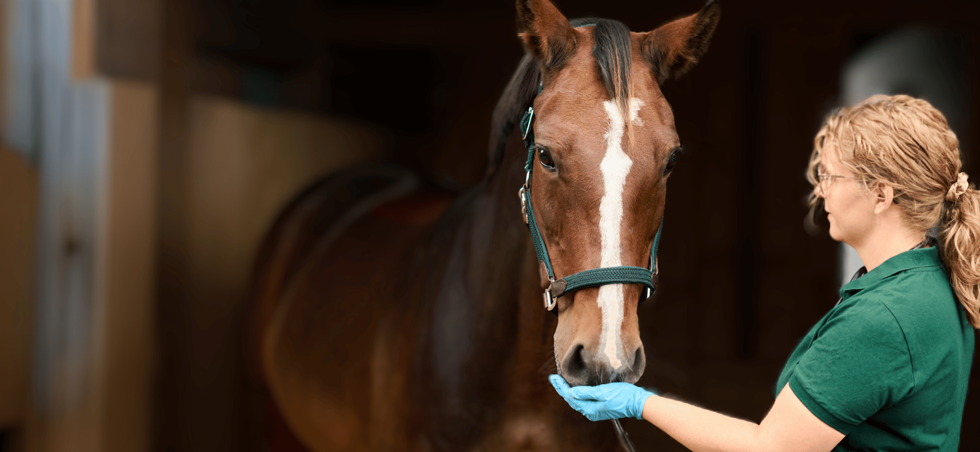 Velkommen til Vetportal