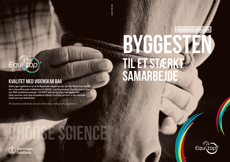 Byggesten til et stærkt samarbejde