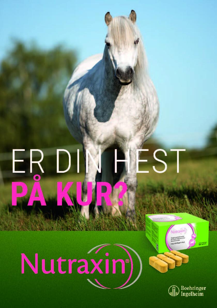Er din hest på kur?