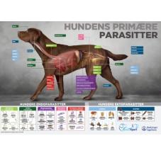 Endecto hunde plakat 50x70