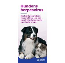 Hundes herpesvirus