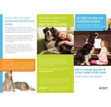 Få mere at vide om hundens epilepsi