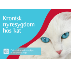 Kronisk nyresygdom hos kat
