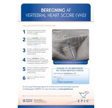 Beregning af Vertebral Heart Score (VHS)