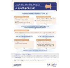 Algoritme for behandling af akut hjertesvigt