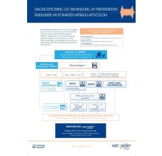 MMVD - Diagnosticering og behandling