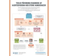 Tidlig diagnose (store hunde)