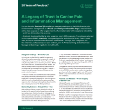 20 Years of Previcox®