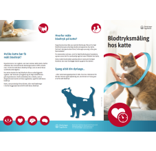 Semintra Blodtryksmåling - Forside