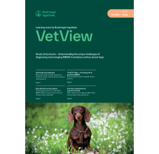 Vetview Magazine Issue 2 – Cardio Dog
