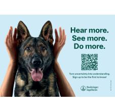 Caninebeat Postkort 4