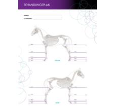 Behandlingsplan og opfølgningsjournal