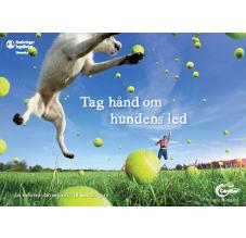 Dyreejerbrochure A5 Tag hånd om hundens led