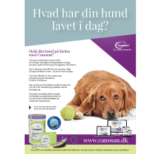 Canosan plakat: Hvad har din hund lavet i dag?