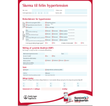 Hypertensionskema til kat