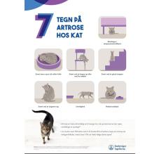 7 tegn på artrose hos KAT - 50x70 (A-skilt)