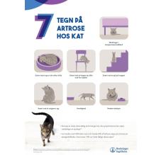 7 tegn på artrose hos KAT - A3