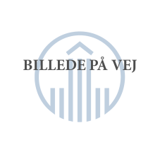 RAMMER TIL NSAIDs POSTER (50x50)