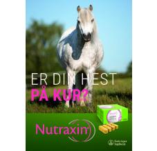 Er din hest på kur?