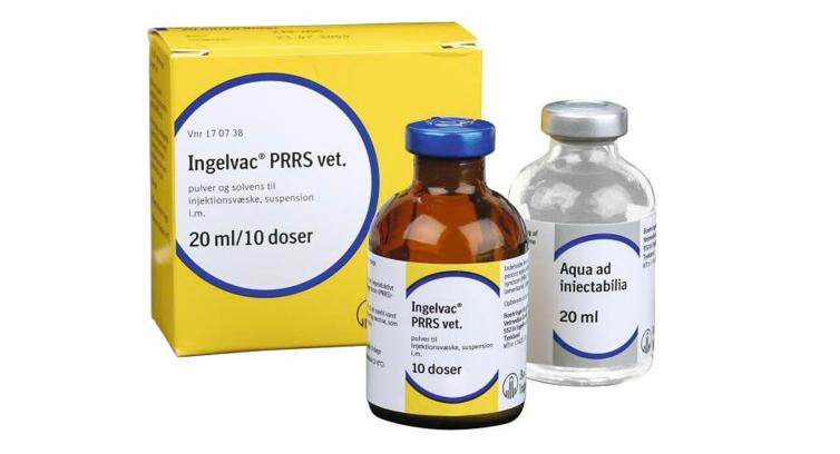 Ingelvac® PRRS vet.