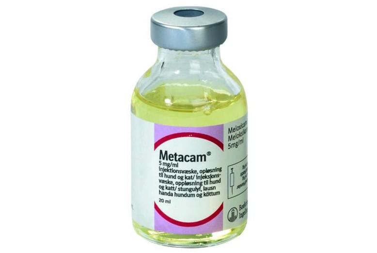 Metacam® til hund og kat, injektion