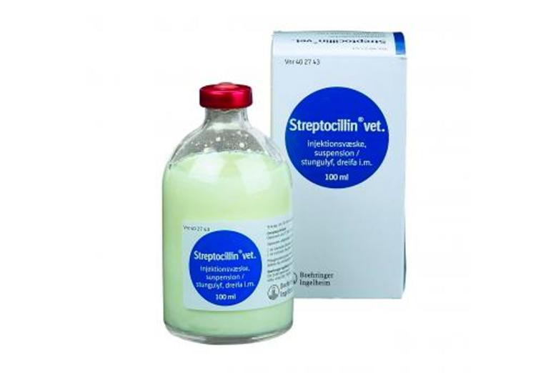 Streptocillin® vet., injektion