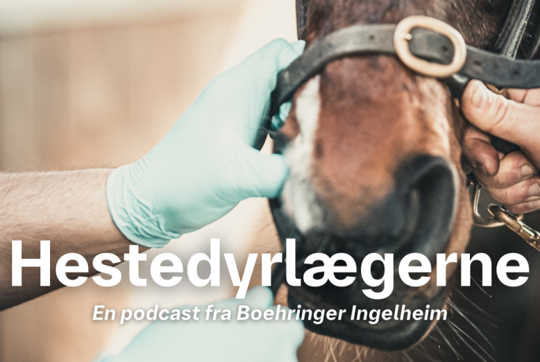 Hestedyrlægerne DK