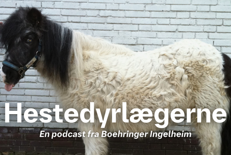 Hestedyrlægerne DK