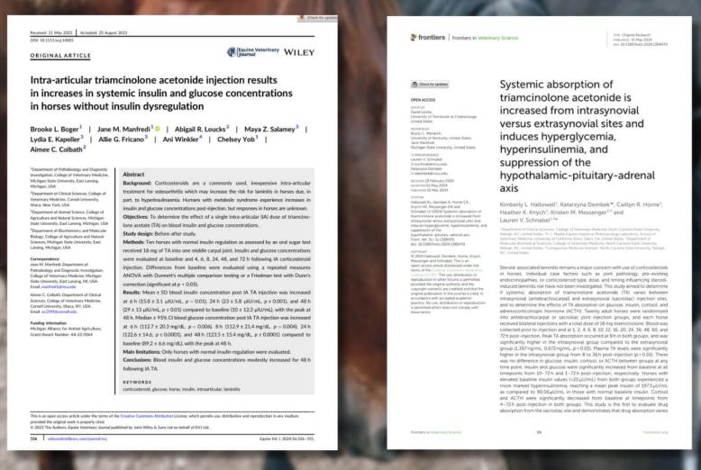 Billede af to artikler