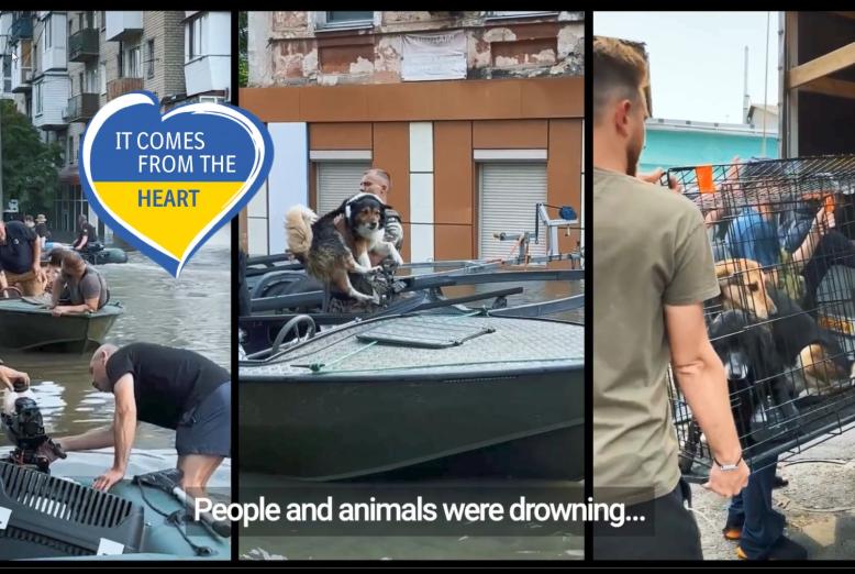 vansklige forhold i ukraine