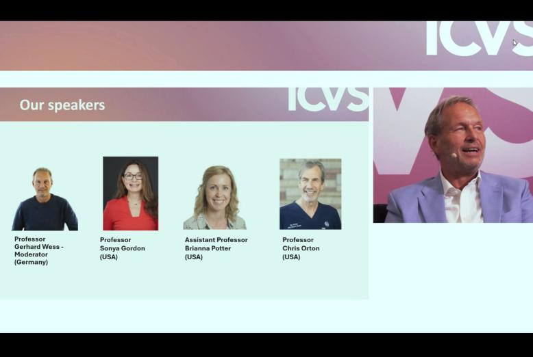 Billede af ICVS webinar