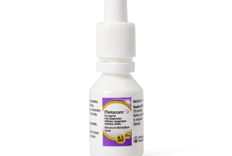 Metacam® til kat og marsvin, oral suspension