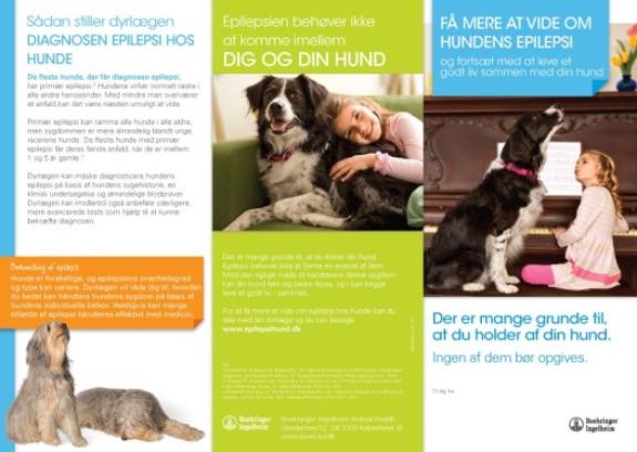 Få mere at vide om hundens epilepsi