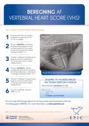 Beregning af Vertebral Heart Score (VHS)