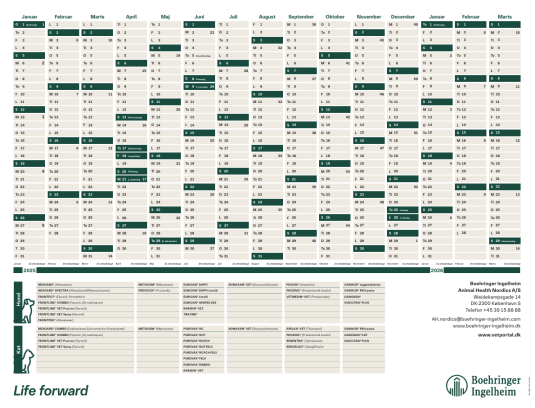 Kalender skrivebordsunderlag 2025