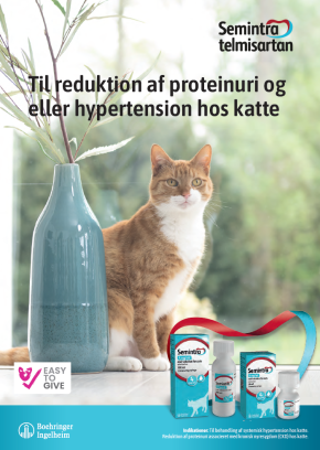 Semintra-Vet-Brochure-Kat-DK