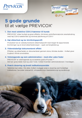 Previcox Hund DK 