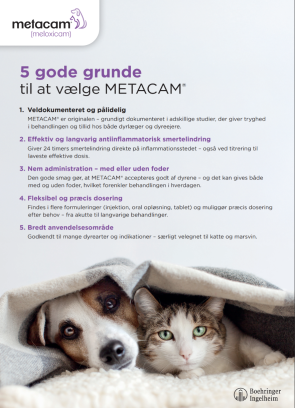 Metcam hund og kat DK