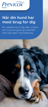 Previcox Hund DK 