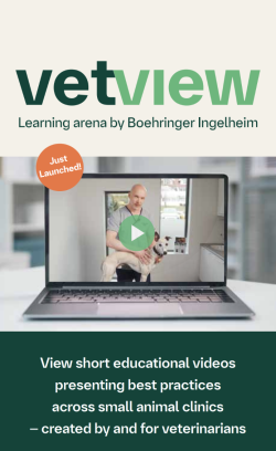 VetView INT Flyer