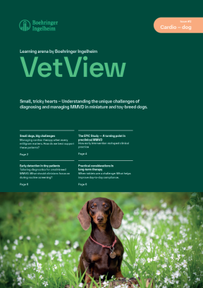 Vetview Magazine Issue 2 – Cardio Dog