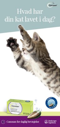 Canosan - Hvad har din kat lavet i dag?